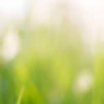 Blog Post Placeholder Image