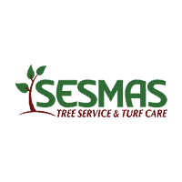SESMAS Tree Services & Turf Care